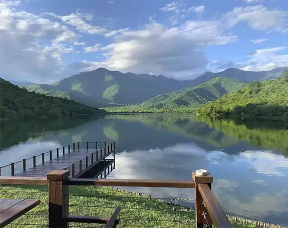Picture of Georgia